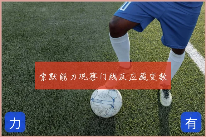 索默能力观察门线反应藏变数